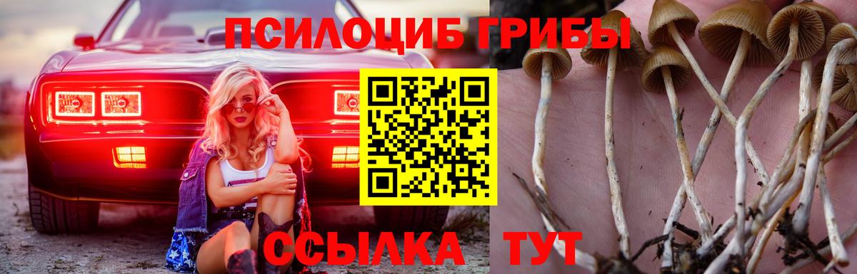 Галлюциногенные грибы Psilocybe  наркошоп  Мариинск  Вход с VPN  Галлюциногенные грибы Magic Shrooms 